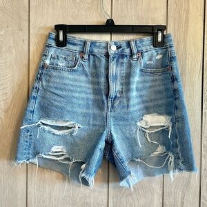 American Eagle Baggy Mom Shorts